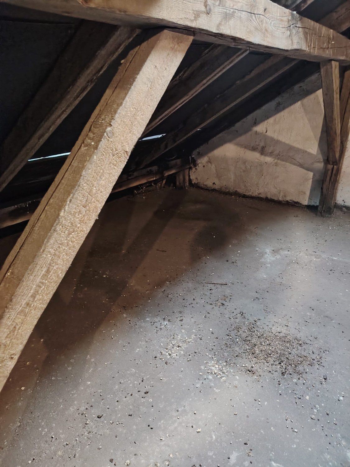 Odstranění holubinců z půdy – před realizací